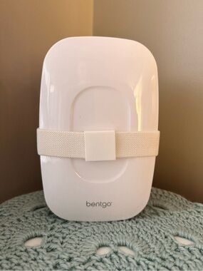 Bentgo lunch box